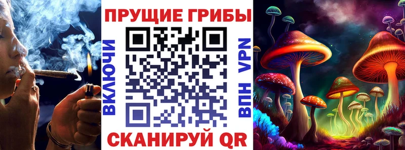 Купить закладки  Цимлянск  Псилоцибиновые грибы Cubensis 